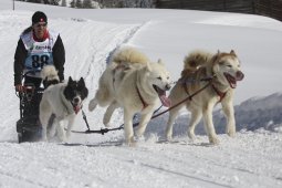 Kandersteg 2013